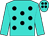 Turquoise, black dots, black band on turquoise slvs (Olympic Stable And Chamatsos, John)