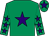 Emerald green, purple star, emerald green sleeves, purple stars, emerald green cap, purple star (Mrs C M Walsh)