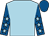 Light blue, royal blue sleeves, light blue stars, royal blue cap (Mr Richard Hobson)