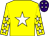 Yellow, white star, yellow sleeves, white stars, purple cap, white stars (Mrs Geraldine M Astbury)
