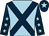 Light blue, dark blue cross belts, dark blue sleeves, light blue stars, dark blue cap, light blue star (Maelor Racing)
