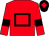 Red, black hollow box and armlets, black cap, red diamond (Braybrooke Lodge Partnership)