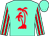 Aqua, red palm tree, red stripes on sleeves, aqua cap (Palm Beach Racing)