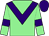 Light green, purple chevron, armlets and cap (Mr E R Clough)