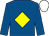 Royal blue, yellow diamond, white cap (Liam Lynch)