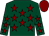 Dark green, maroon stars, maroon cap (Mr T Radford & Partner)
