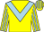 Yellow, light blue chevron, striped sleeves and cap (Mr J Nixon)