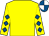 Yellow, royal blue diamonds on sleeves, royal blue and white quartered cap (Mrs D Ralph & Mrs S Rimell)