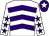 White & purple chevrons, purple stars on sleeves, purple cap, white star (Ms Eleanor Bennett)