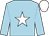 Blue-light body, white star, blue-light arms, white cap (R Borrelli Bifulco)