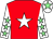 Red, white star, white sleeves, light green stars, white cap, light green star (Mr N A Eggleton)