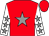 Red, grey star, white sleeves, grey stars (Balasuriya,cookcunningham,gowing,spenc)