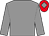 Grey, red cap, grey diamond (Maggio Racing Partnership)
