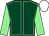 Dark green, light green seams, light green sleeves, white cap (Amicus Racing Syndicate)