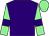 Purple, light green sleeves, purple armlets, light green cap (Mr D S Hogg)