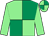 Light green and emerald green (quartered), light green sleeves (Miss Hannah James)