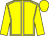 Yellow, white seams, yellow sleeves and cap (Miss V Markowiak)