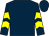 Dark blue, yellow chevrons on sleeves (Mr Christopher Davies)
