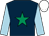 Dark blue, emerald green star, light blue sleeves, white cap (F Moynihan)