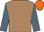Buff, saxe blue sleeves, orange cap (Miss E Johnson Houghton)