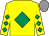 Yellow, emerald green diamond, diamonds on sleeves, grey cap (Mr T B Sheridan)
