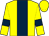 Yellow, dark blue panel, dark blue armlet, yellow cap (Patrick Crotty)