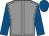Grey, white seams, royal blue sleeves and cap (Mr Khalifa Saeed Sulaiman)