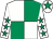 White and emerald green (quartered), white sleeves, emerald green stars, white cap, emerald green star (Mr John C Davies)