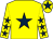 Yellow, dark blue star, yellow sleeves, dark blue stars, yellow cap, dark blue star (Mrs Katie Morgan)