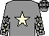 Grey, beige star, grey sleeves, beige stars and stars on cap (Dr Marwan Koukash)