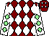 Maroon and white diamonds, white sleeves, light green diamonds (Rasio Cymru 1 & Hurn Racing Club)