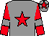 Grey, red star on body and cap, red sleeves, grey armlets (Mr Ambrose Turnbull & Partner)