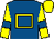 Royal blue, yellow hollow box, yellow sleeves, royal blue armlets, yellow cap (Mr F Butler)