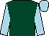 Dark green, light blue sleeves and cap (Mike And Michelle Morris)