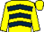 Yellow, dark blue chevrons, yellow sleeves and cap (Mr J A Gent)