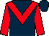 Dark blue, red chevron and sleeves (Mr R C C Villers)