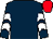 Dark blue, white chevrons on sleeves, red cap (The Dirham Partnership)