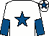 White, royal blue star, halved sleeves and star on cap (The Hull Farm Syndicate)
