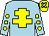 Light blue, yellow cross of lorraine, light blue sleeves, yellow spots, yellow cap, light blue spots (Mr David J Adams)