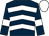 Dark blue, white chevrons, armlets and cap (Whitewall Racing)