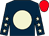 Dark blue, beige disc, beige stars on sleeves, red cap (Fitzwilliam Racing)