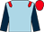 Light blue, red epaulets, dark blue sleeves, red cap (Mrs S Cunliffe-lister And Mr S A Harri)