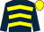 Dark blue, yellow chevrons, dark blue sleeves, yellow cap (Rogate Racing)