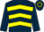 Dark blue, yellow chevronS, dark blue sleeves, dark blue cap, yellow hoop (Mr T R Gretton)
