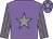 Mauve, grey star, striped sleeves and star on cap (Mr H Hurst)