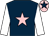 Dark blue, pink star, white sleeves, pink cap, dark blue star (O'connell, Saveall-green, Regan, James)