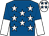Royal blue, white stars, halved sleeves, white cap, royal blue stars (Mrs V W Jones & Mr B P Jones)