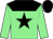 Light green, black yoke and star, black cap (Drawing Away Stable)