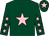 Dark green, pink star, dark green sleeves, pink stars, dark green cap, pink star (M I Pattinson Racing)