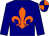 NAVY, ORANGE Fleur de Lys, NAVY and orange quartered cap (Lynne Stanbrook & Julian Power)